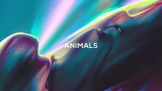 ENZU - Animals