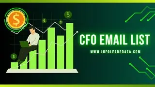 CFO Email List - CFO Mailing List (Buy 1,000 Leads is Just for $160)