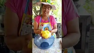 Empanadas SALUDABLES de ZANAHORIA BLANCA 
