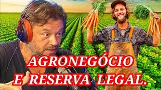 AGRONEGOCIO E RESERVA LEGAL. RICHARD RASMUSSEN. DV CORTES. #animais #richardrasmussen #floresta