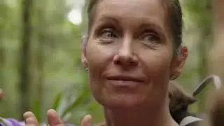 Embark on a Journey of the Scenic Rim Trail