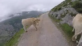 Circular Macizo Oriental Picos de Europa con specialized Turbo Levo