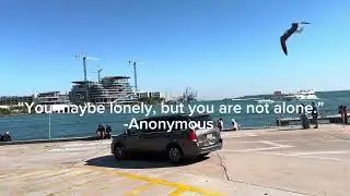 BaySide: Miami, FL&hellip;Nugget 218