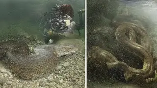 10 Most Shocking Underwater Discoveries