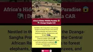 Africa&rsquo;s Hidden Wildlife Paradise 😱🐘 | Dzanga-Sangha CAR
