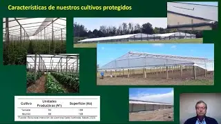 Protecci&oacute;n Vegetal Hort&iacute;cola - Peste Negra