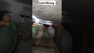 Underground Coal Mining ⛏️ | Mines | Coal | Workers #coalminer #miners #mineralindustry #coalmining