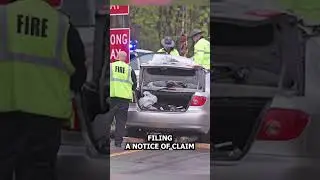What is the process of handling car accidents involving government vehicles #tennessee
