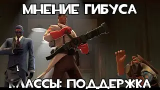 Мнение Гибуса Классы: Поддержка