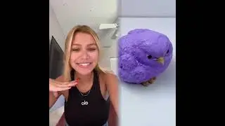 🤣👌👌👌2025 pov Must-Watch Crazy Clips Compilation #humor #fypシ #pov #fyp #foryou 😍😜