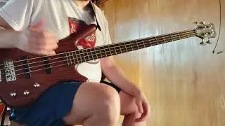 Open strings slap bass lick