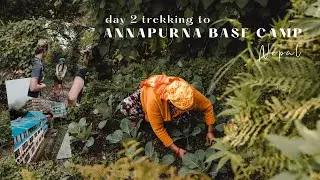 trekking from Ulleri to Ghorephani