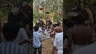 Panchavadhyam #festival #panchavadyam #thrissur #pooram #pooramlove #thrissurkari #poorapremi