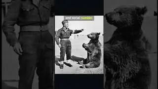 Rare Historical Photos You&rsquo;ve Never Seen Before! Pt. 27 | #shorts #history #trending  #unseenphotos