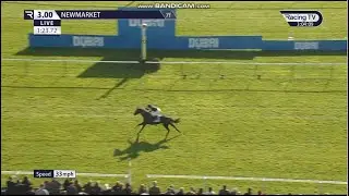 [2] - Topgear (1er) - Challenge Stakes 2024 (Gr. II) - 🇬🇧 Newmarket