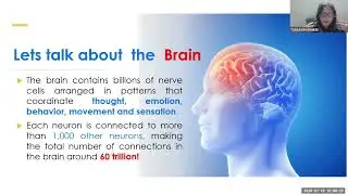 Artificial Intelligence in Action Applications