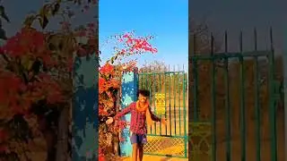 Ye mor sangvari #short #cglre##cgsong #cg #cgreels #chhattisgarh #cgvideo  #cgfamily #cgviral #yt