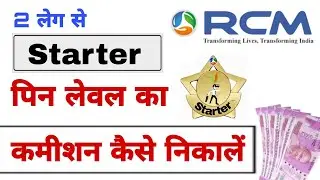 RCM Starter Pin Level Commission Calculation/Rcm Income Plan/Royalty/Technical/Performance Bonus