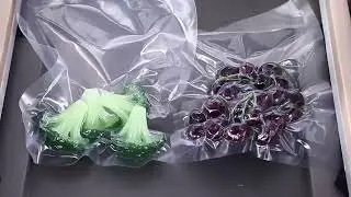 Factory Price Table Top Single Packaging Meat Rice Food Plastic Bag Vacuum DZ 260 Commercial Vacuum