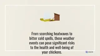 Backyard chicken | Create weather resistant | Chicken coop weather protection | PawPrint Adventures