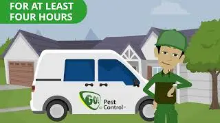 Bed Bug Treatment Preparation &ndash; What to Do Before Your Appointment | GO! Pest Control