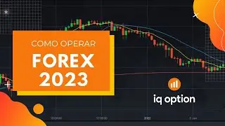 Como funciona o Forex na IQ Option [2023]