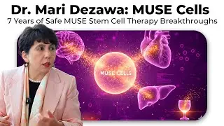 Dr. Mari Dezawa: MUSE Cells &ndash; 7 Years of Safe MUSE Stem Cell Therapy Breakthroughs