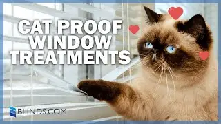 Top Picks For Cat-friendly Window Treatments | Blinds.com