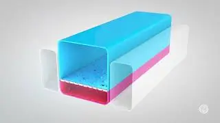 Alveolus Lung-Chip: A More Human-Relevant Model for Studying Pulmonary Physiology