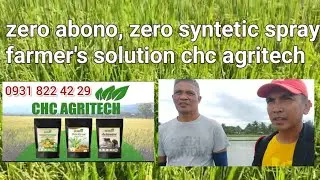 PALAY zero farm inputs. chc agritech activator farmers friend maxigrow camsur