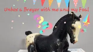Breyer package 📦  Very Matte Black Appaloosa foal