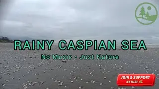 Stormy Caspian Sea 🌧️ Gentle Rain, Waves & Seagulls for Deep Relaxation