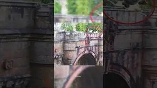 Почему собаки прыгают с этого моста? 🐶😱
