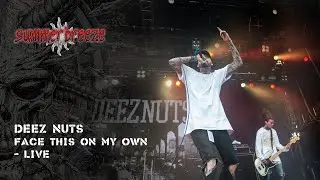 Deez Nuts – Face This On My Own(LIVE @ Summer Breeze Open Air 2016)