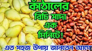 কাঁঠালের বিচি এক মিনিটে ধবধবে সাদা করুন। একদম সহজ ঘরোয়া টিপস Abidas'Rsnnghor