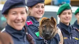 Berufsinformation Polizei O&Ouml;