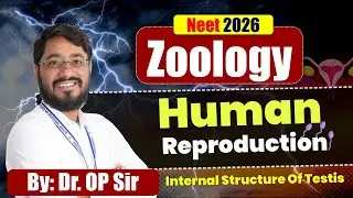 🧬 Human Reproduction: Internal Structure of Testis | NEET 2026 Zoology | Dr. O.P Sir