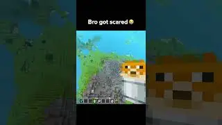 Minecraft Pufferfish