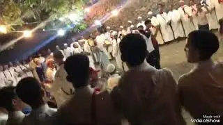 احواش ايمولاس