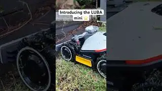 Is LUBA mini The BEST robot lawn mower on the market?? #electricmowers #robotmower #luba #lubamini