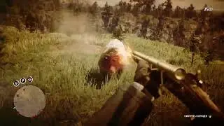 Red Dead Redemption 2_20251210211405