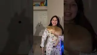 ЛОШАДЬ ЗДЕСЬ