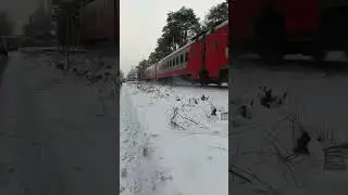 ЭП2ДМ 0309 по следует по перегону #поездавидео #trainspotting #эд4м #поезд #поезд #разлив