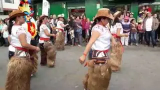 Fiestas san Antonio de Pichincha. 2017  (   2   )