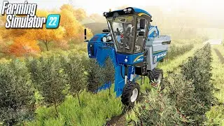 HARVESTING ALL NEW CROPS in Farming Simulator 22 - Building Our FIRST FARM in Farming Simulator 22