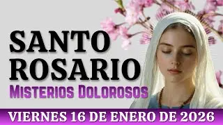 SANTO ROSARIO DE HOY | MISTERIOS DOLOROSOS, JESÚS Y MARÍA EN EL CAMINO DEL DOLOR #santorosariodehoy