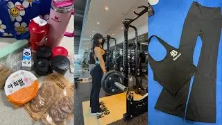 헬스 브이로그 | 헬스장지박령 | 식단 | 등운동 | 운동루틴