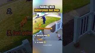 Ranking Best Delivery Man Vs Dog Moments 😂