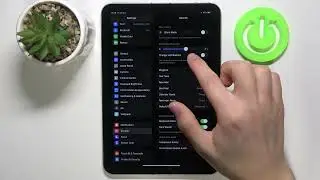 APPLE iPad mini (2019): How to Mute Your Ringtone | Manage Your Sound Settings