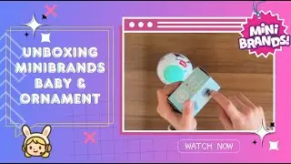 Unboxing Rare Christmas Ornaments and Surprise Mini Brands!